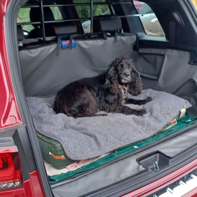 Mercedes GLB Hatchbag boot liner.