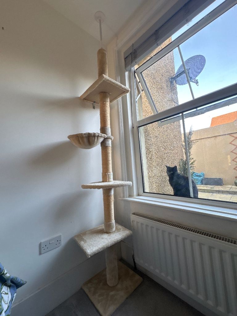 Floor to ceiling cream cat tree
