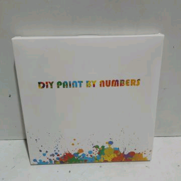 Brand new in box Paint By Numbers DIY kit