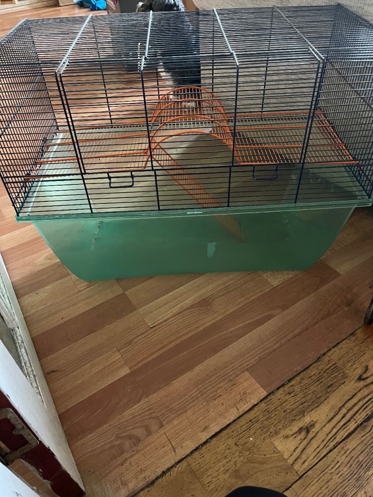 Gerbil Cage