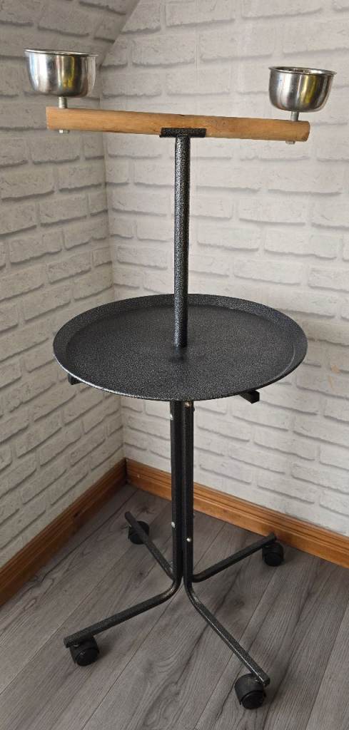 Parrot Stand