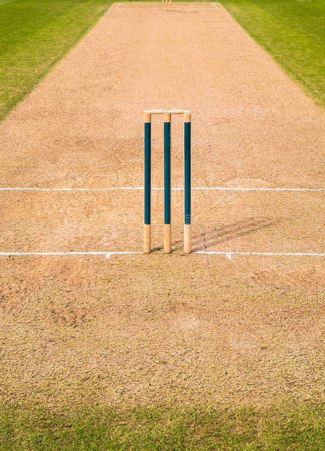 Cricket Players Wanted League Friendly Outdoor Nets daily