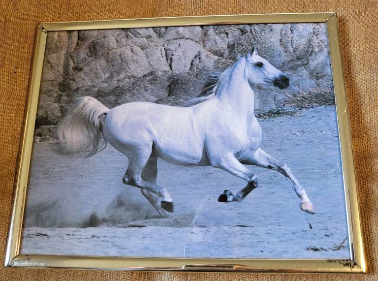 Vintage White Horse Stallion Print