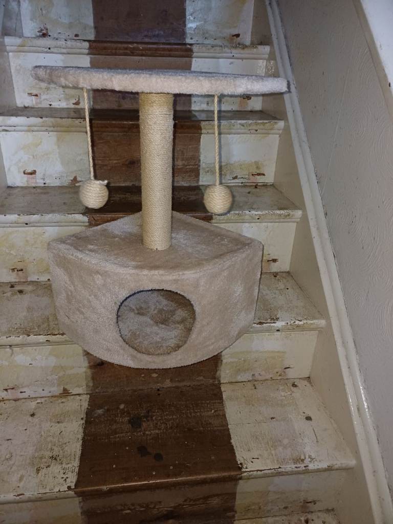 CAT TREE
