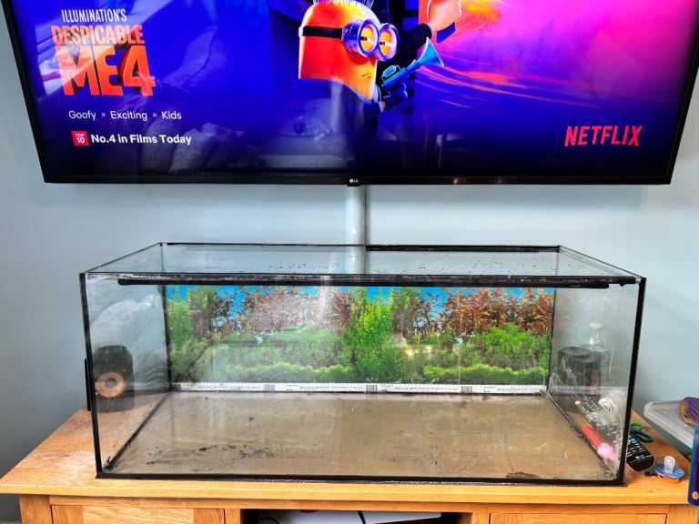 Fish tank aquarium
