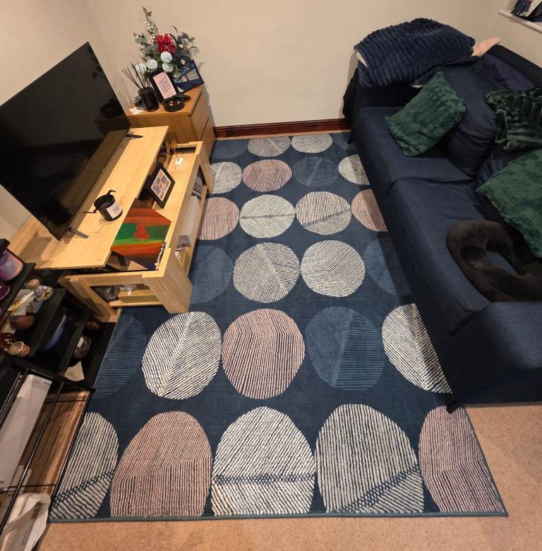 Large Leaf Teal Modern Geometric Rug 160x230cm – Soft Pile & Clean, Excellent Condition (£65 New)