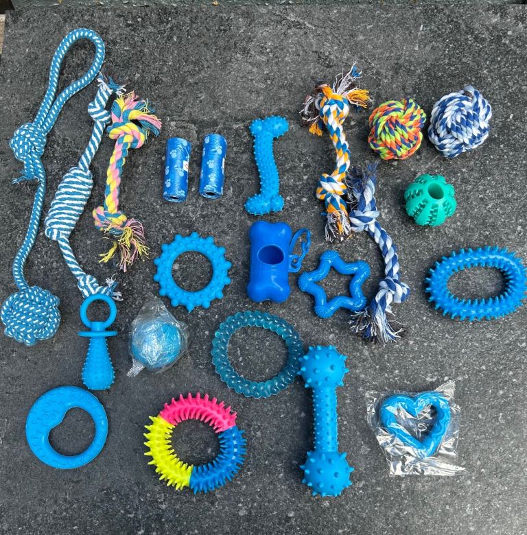 22 in 1 pet toys 
