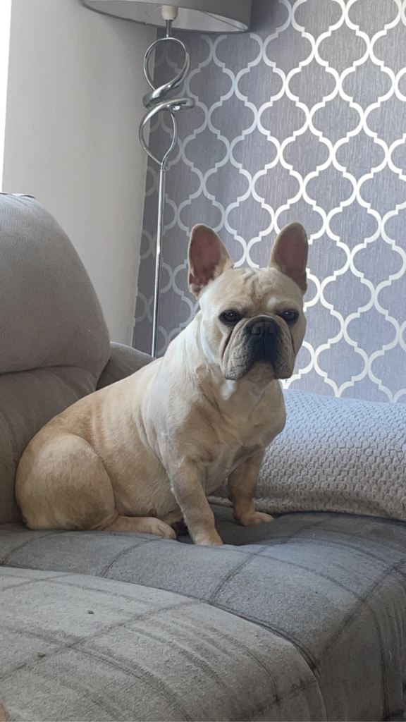 Looking for a forever home 