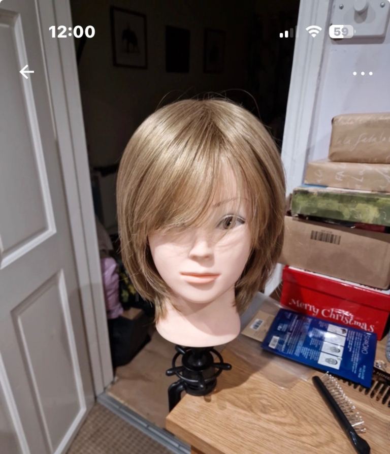 Rene of Paris ladies wig 