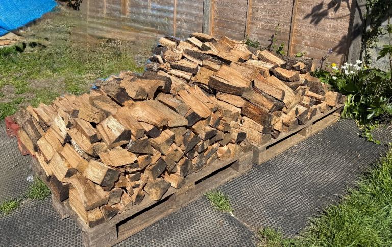 English oak logs for sale 