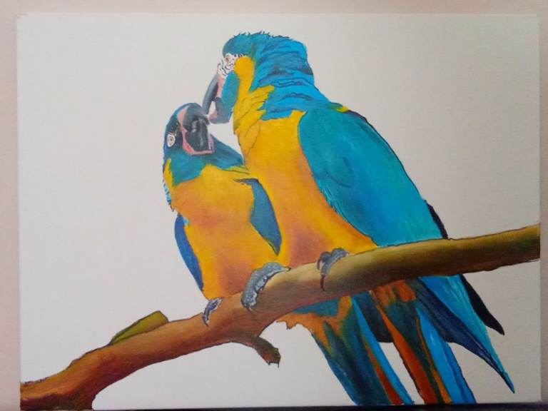 Original Oil Painting - Golden Bond - 60x80cm