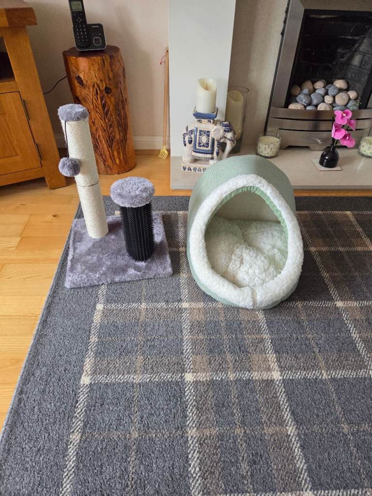 Cat bed and scratch pole