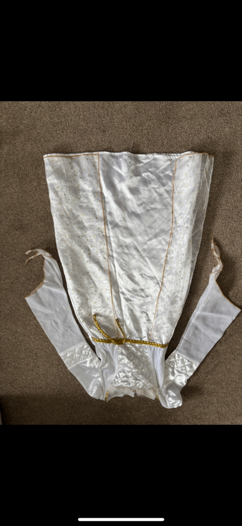 image for Angel costume 