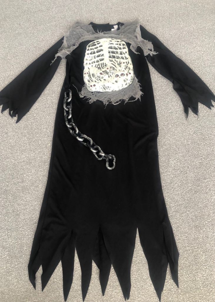 Halloween/fancy dress costume 