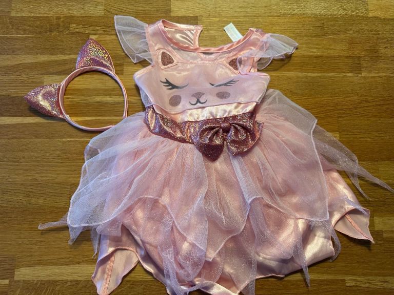 Fancy dress - age 2-3