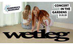 2 x Wet leg NYE - concert in the gardens - enclosure tickets - £150 - sell due to family illness