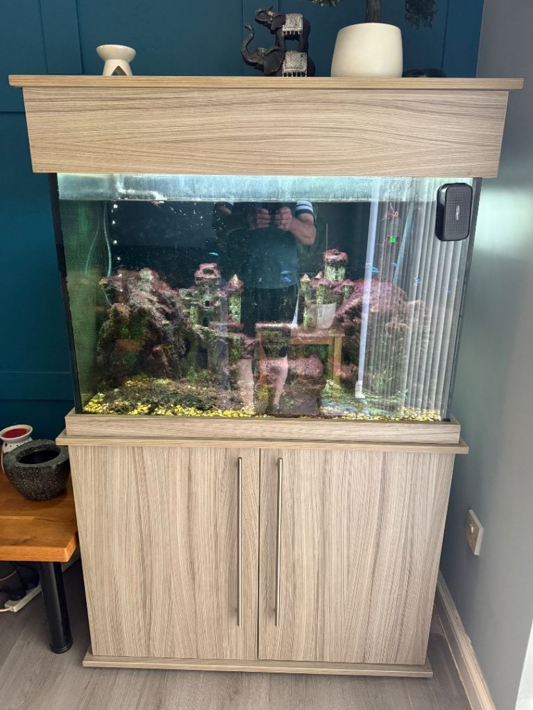 Aquarium Fish Tank with Cabinet Stand (Light Wood Effect)
