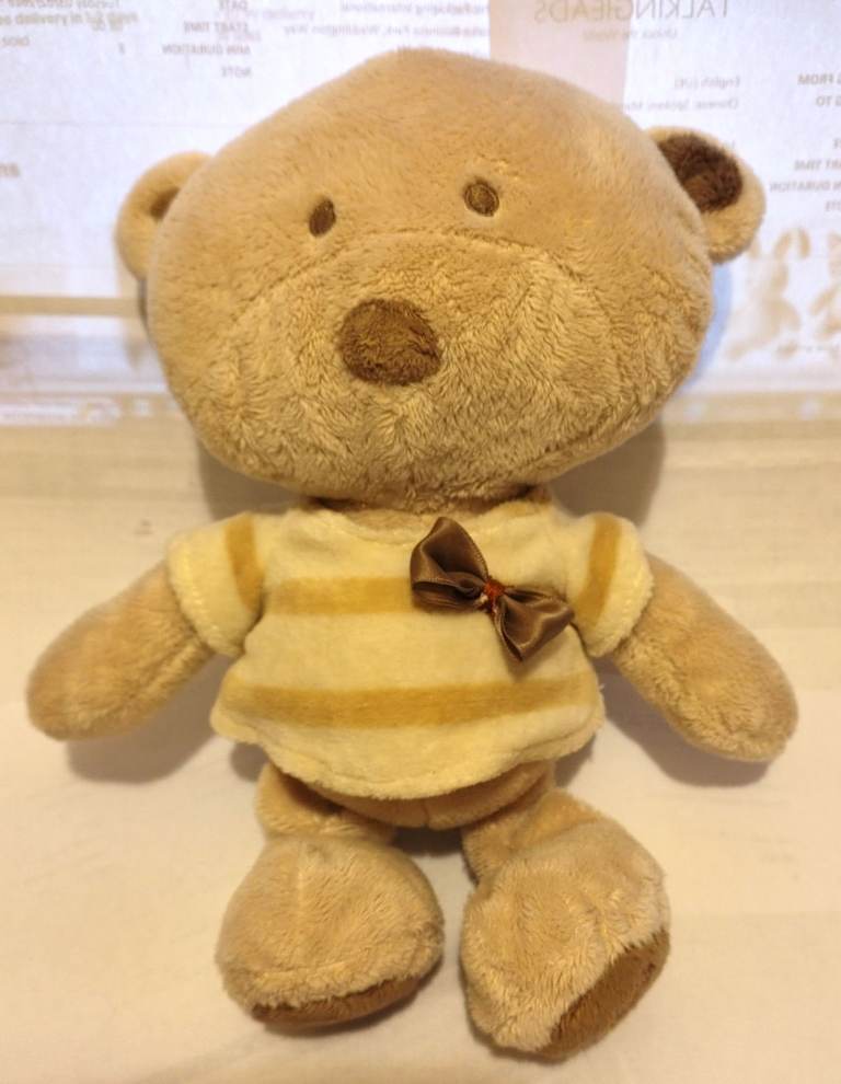 Baby Hugs Bear - A Plush, Soft, Cuddly Toy