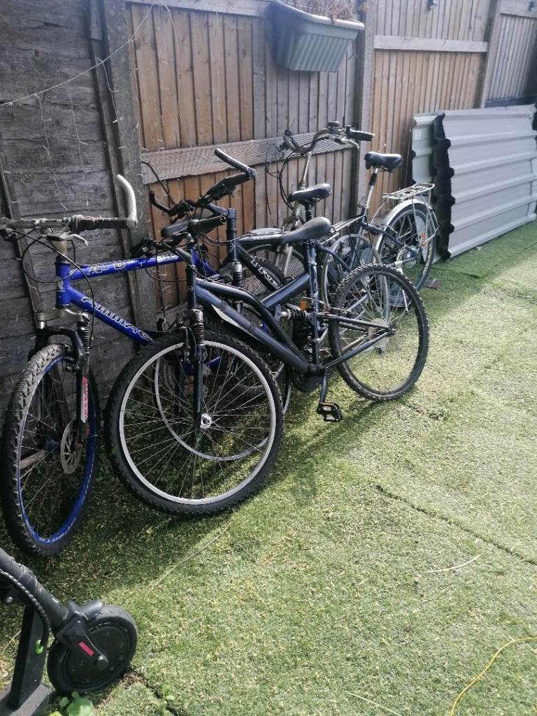 Job lot bike 