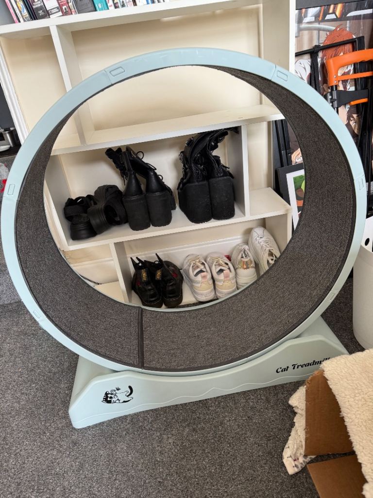 Cat running wheel