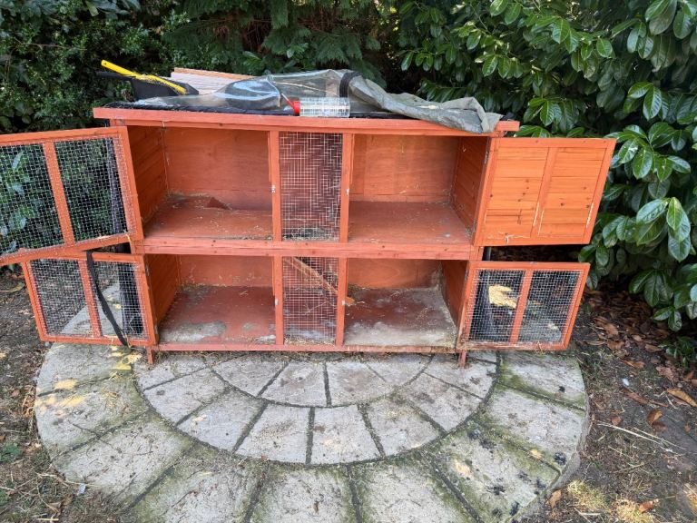 Rabbit hutch and accessories 