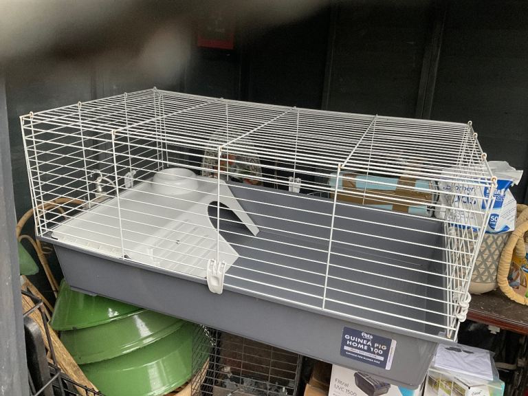 Pets at Home Indoor Guinea Pig temporary cage 