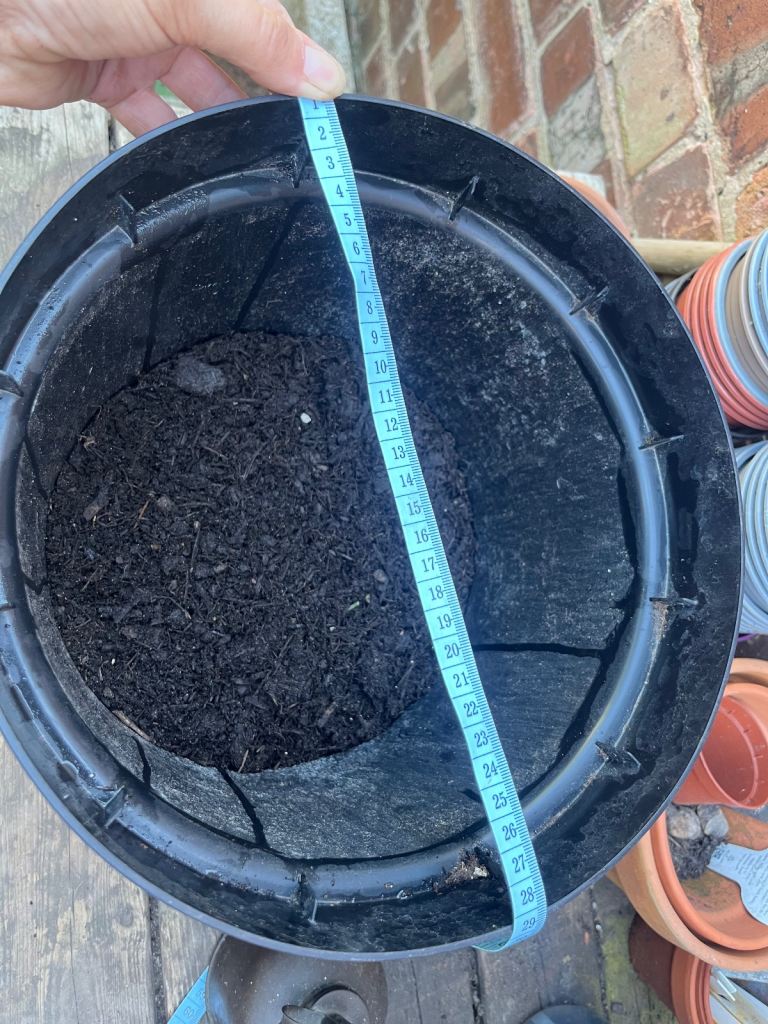 Large plastic plant pots ideal for tomato plants