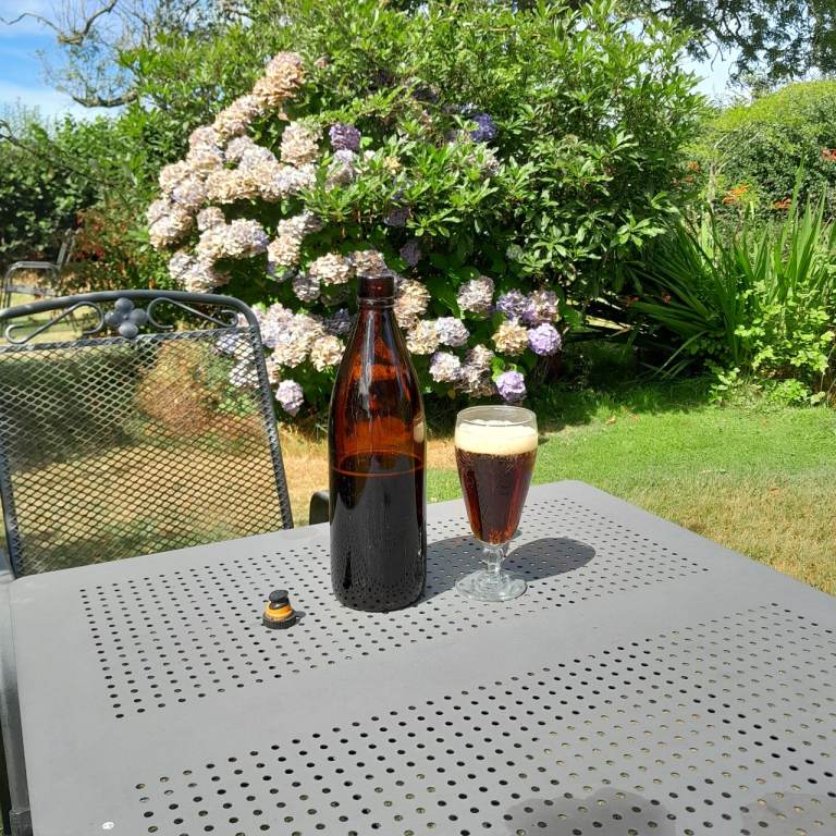 Brown Glass Bottle 