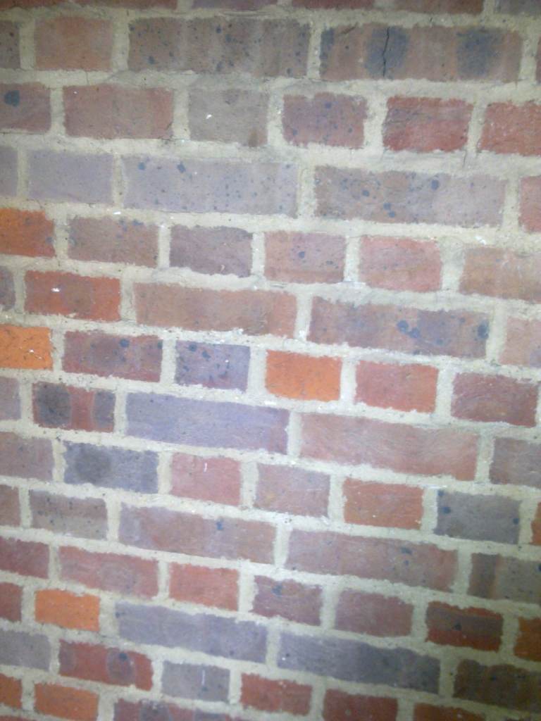 Pro minded female lead vocalist wanted