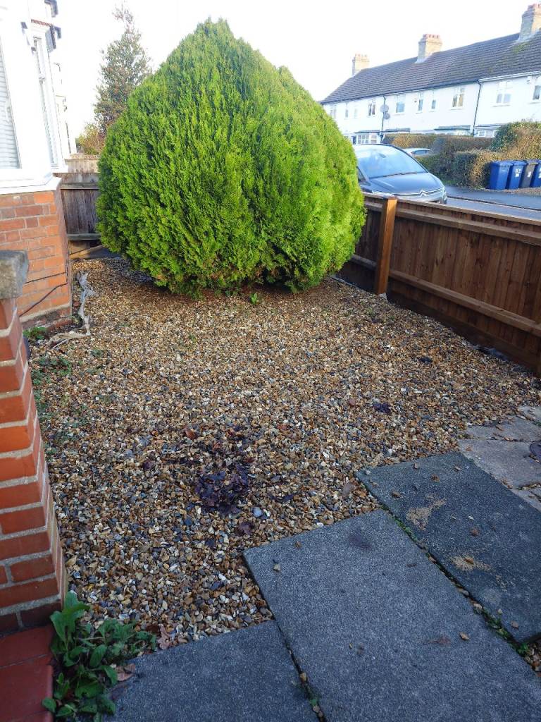 Flint shingle free to good home 