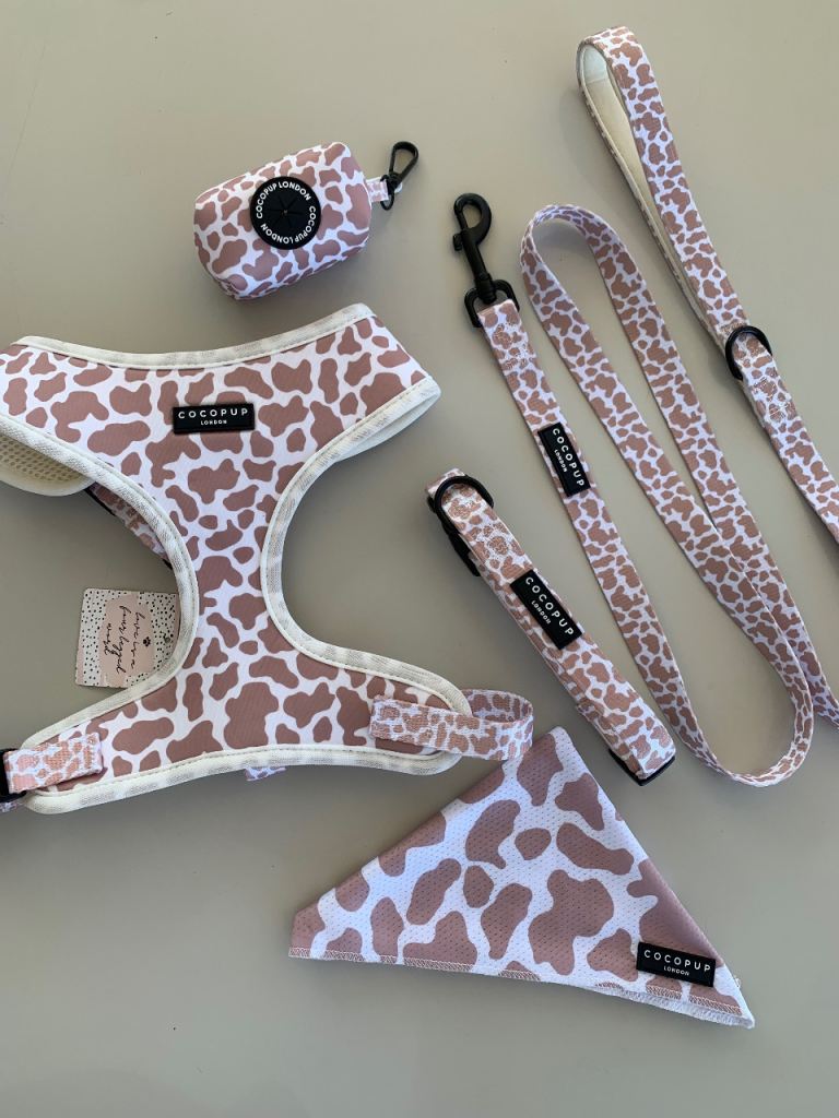 Coco pup set