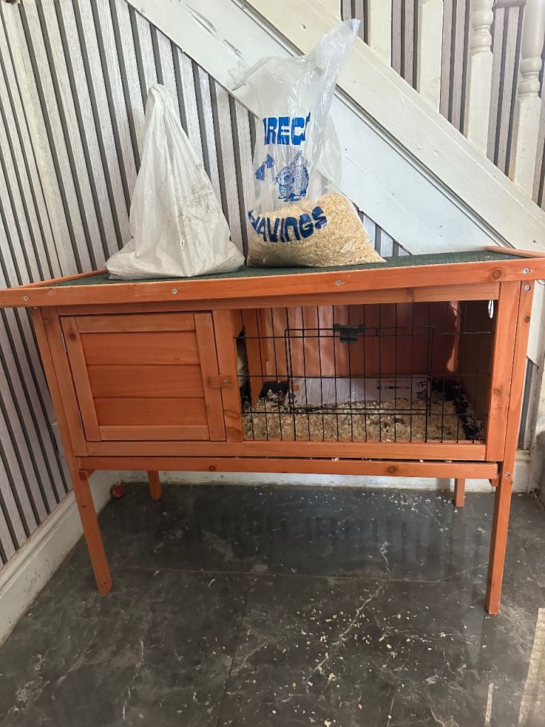 Chicken coop with 2 chicks 