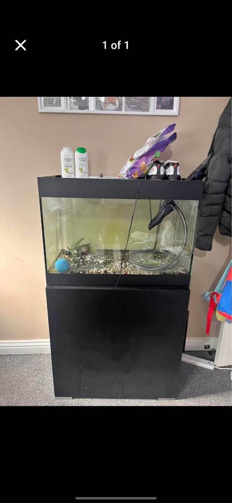 Fish tank 