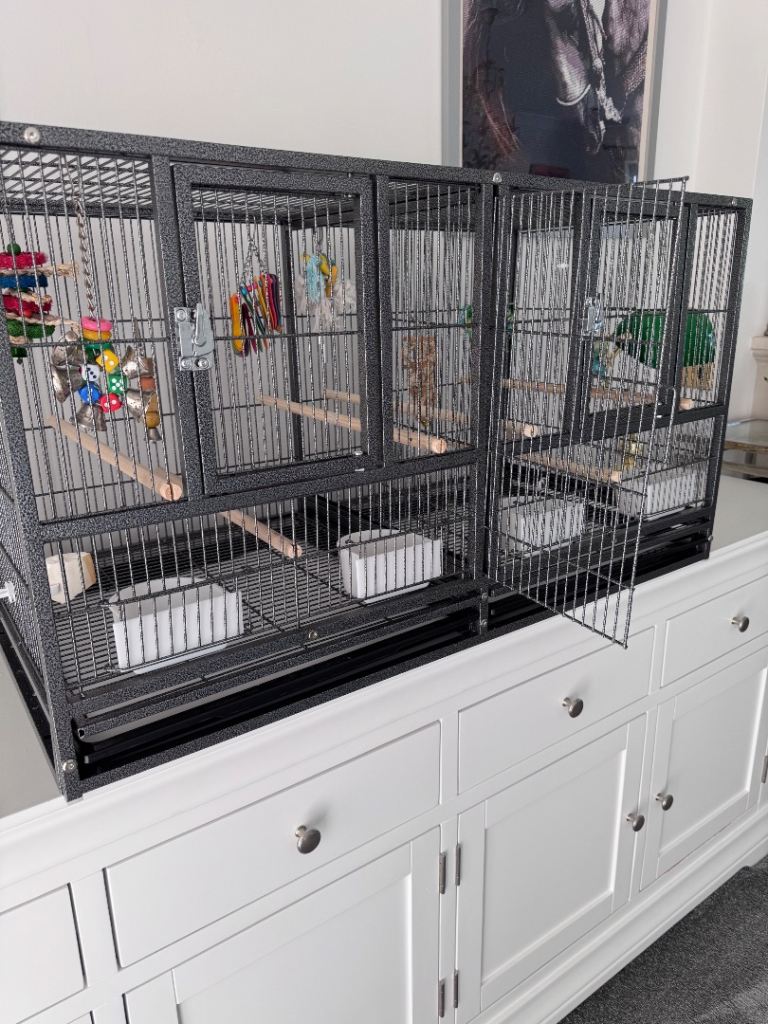 Two Yaheetech Double Flight Cages £80 PER CAGE