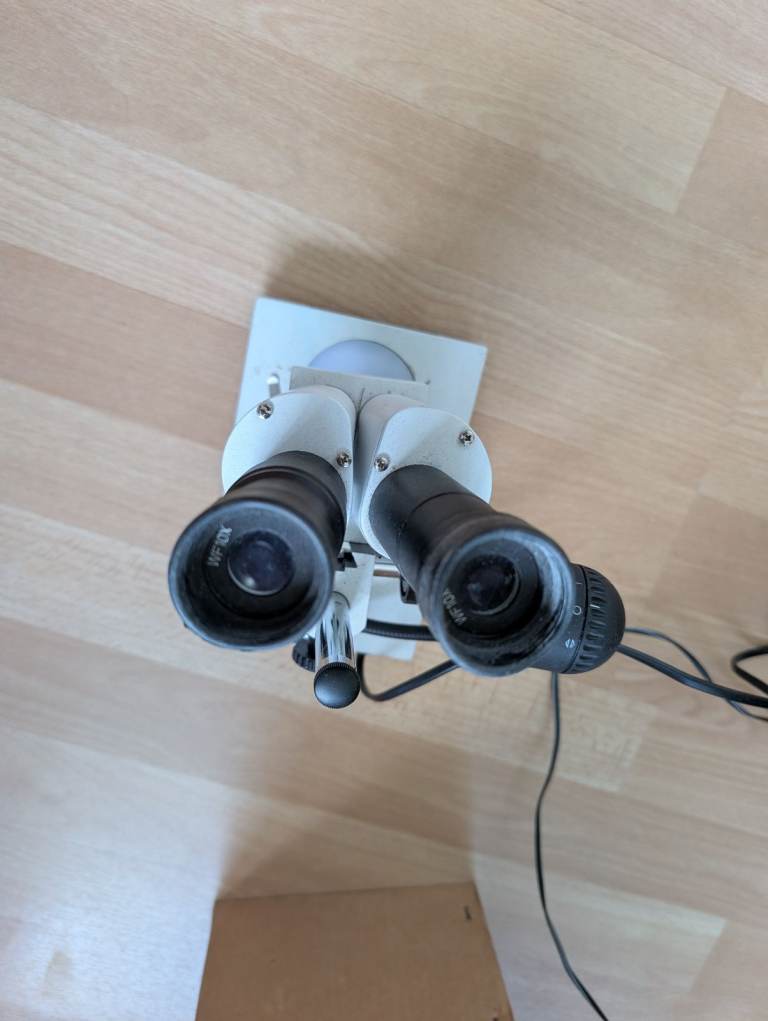 Stereo Microscope with Light – Good Condition