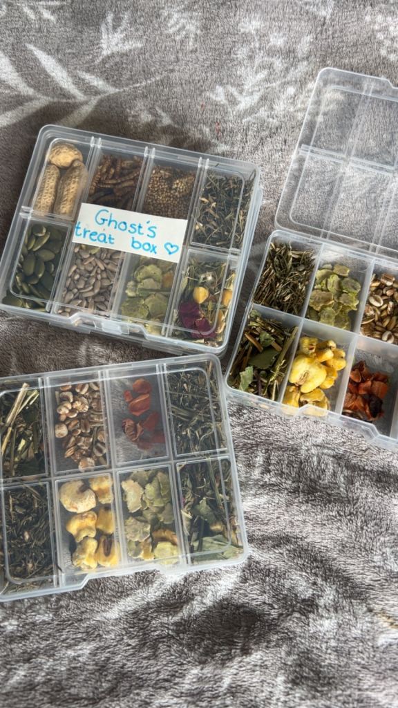 Small pet treat box’s