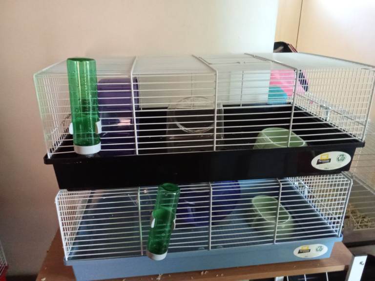hamster cages 