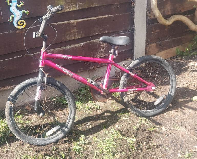2 bikes free been in garden. Are a little rusty on cgain and handle bars 