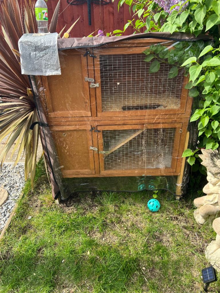 Double rabbit hutch with cover 