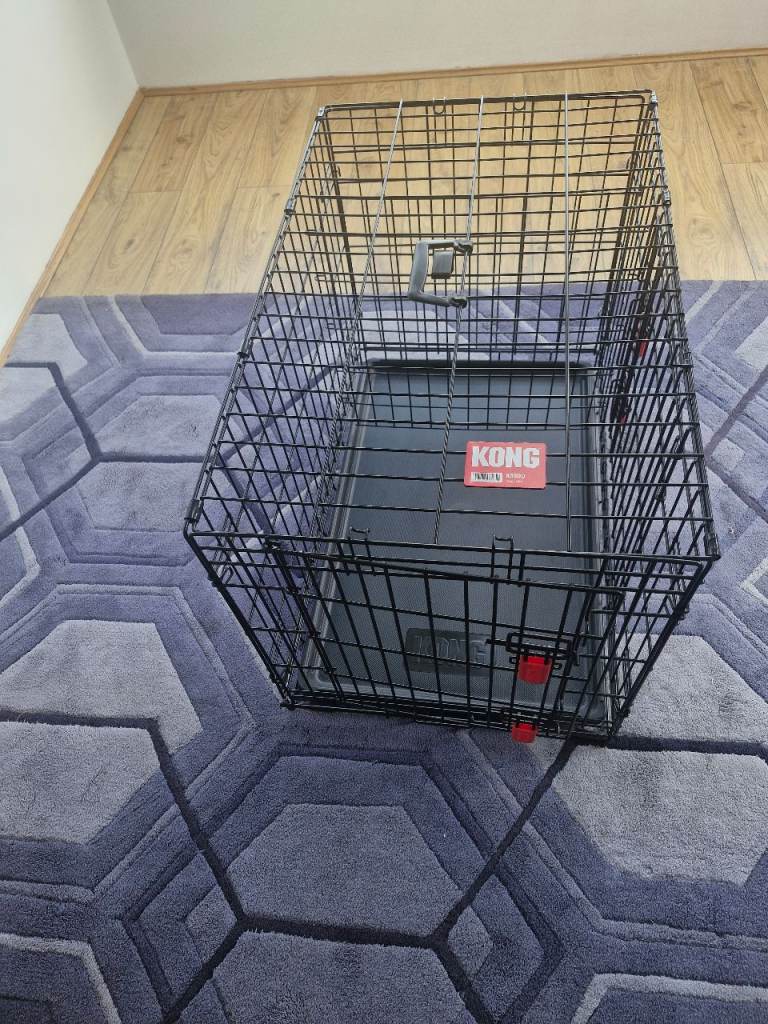 Kong dog crate