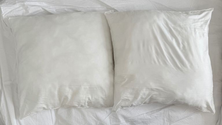 X2 Zara home pillows 