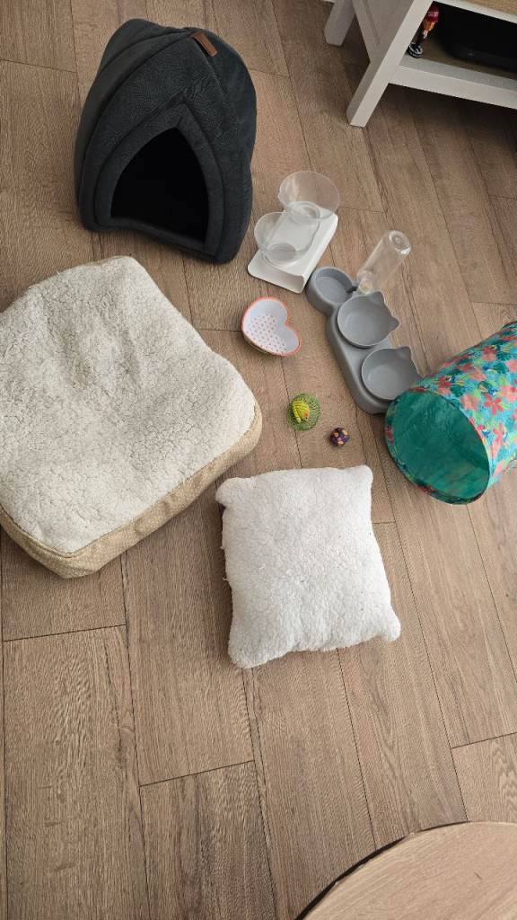 Kitten/cat accessories