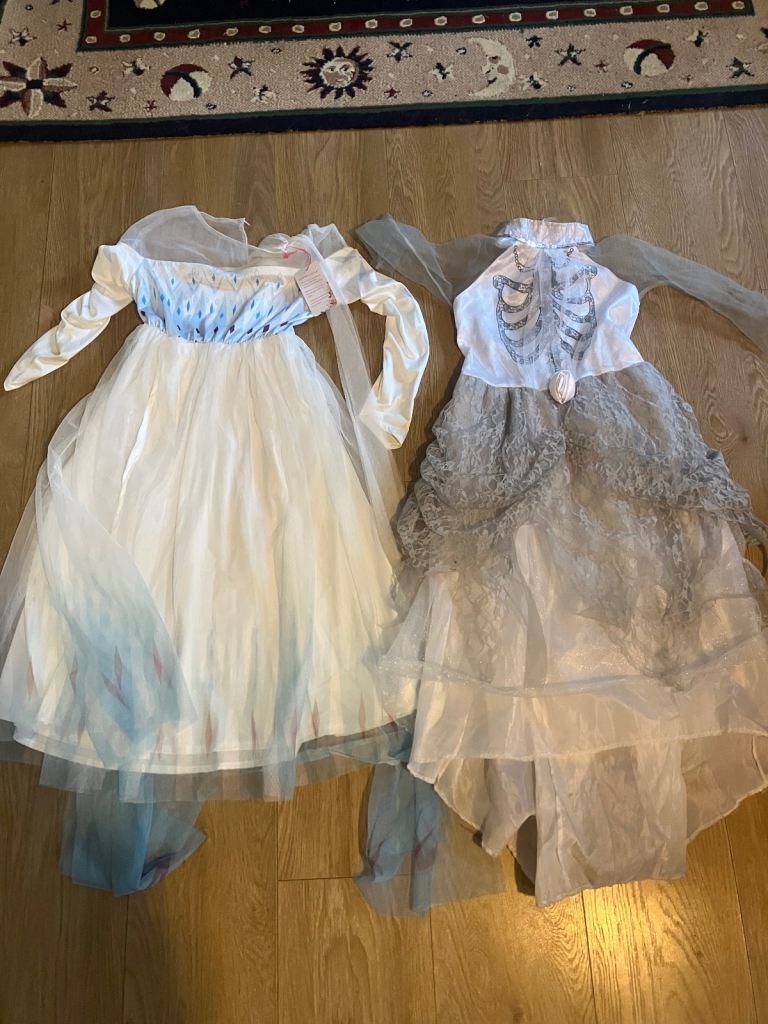2x children’s fancy dress dresses