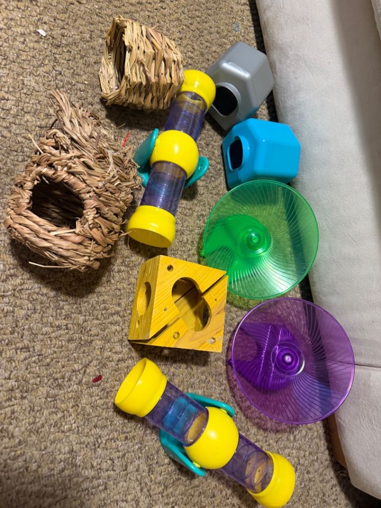 Hamster toys