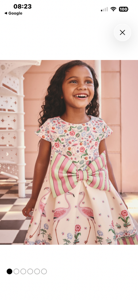 9/12 mths NEW Next Kids Flamingo Party Dress – New with Tags