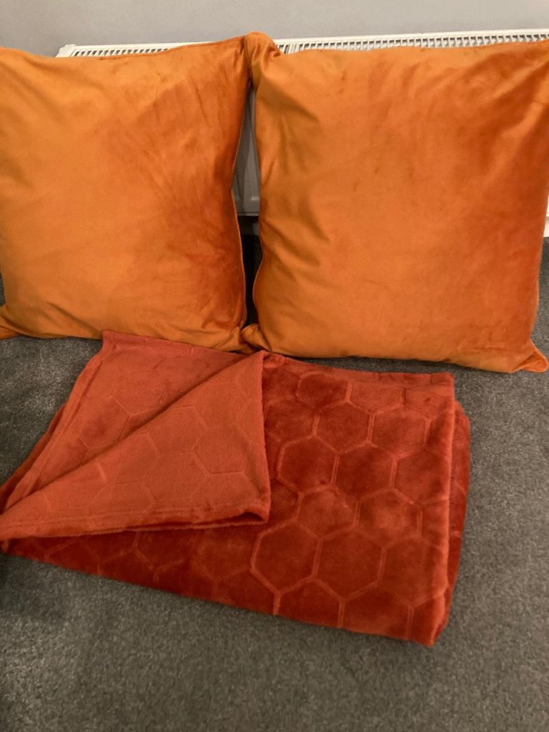 image for 2 large cushions and Throw