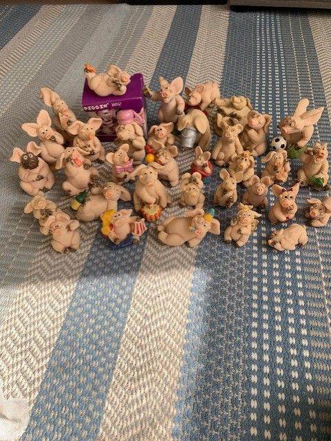 Collection of Piggin Pigs, £45.00 for Sale in Wickford, Essex | Gumtree