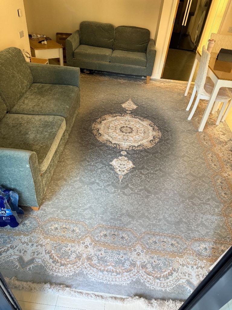 Sofa bed and double seats fogs with carpet