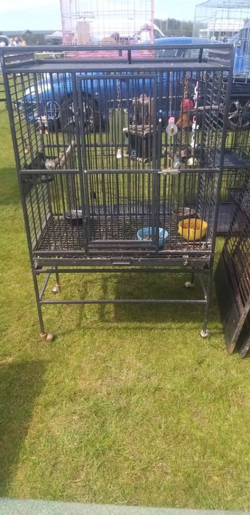 Parrot cage and accessories 