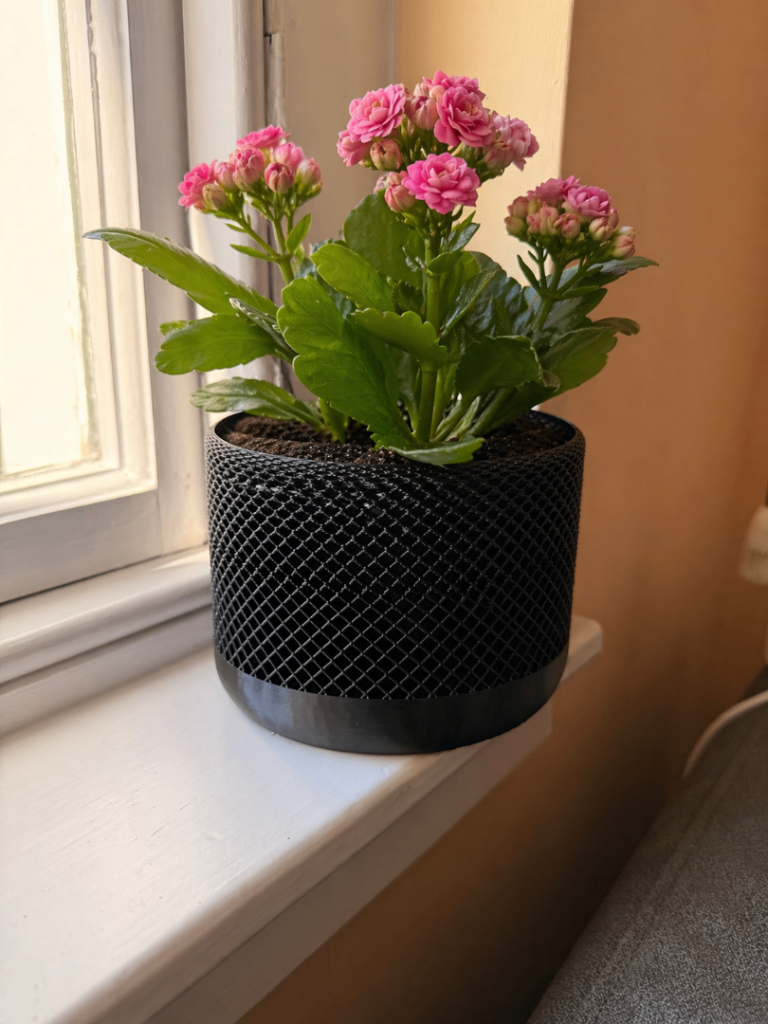 3D Printed Vase Apple Pod Inspired 